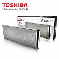 toshiba speakers at lincon platinum